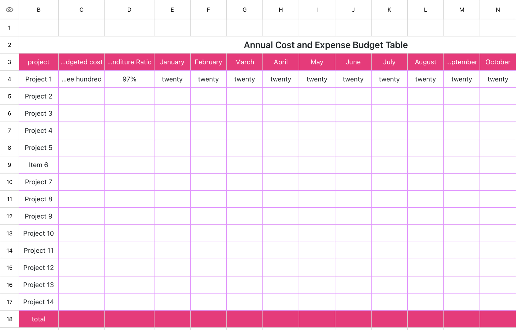 Annual Cost and Expense Budget Table